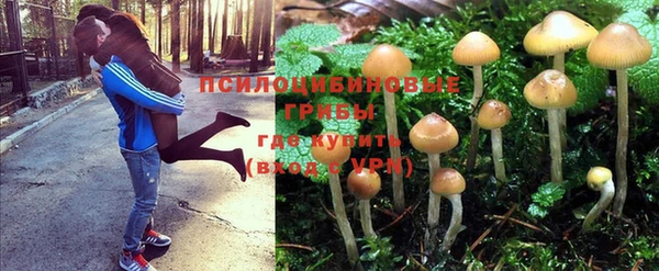кокс Арсеньев