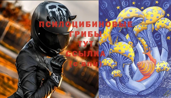 кокс Арсеньев