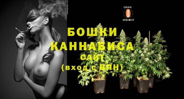 каннабис Аркадак