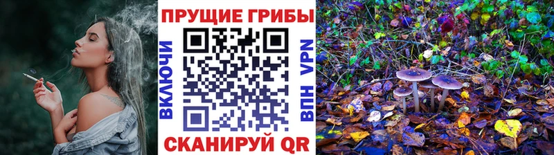 kraken tor  Чудово  Псилоцибиновые грибы прущие грибы 